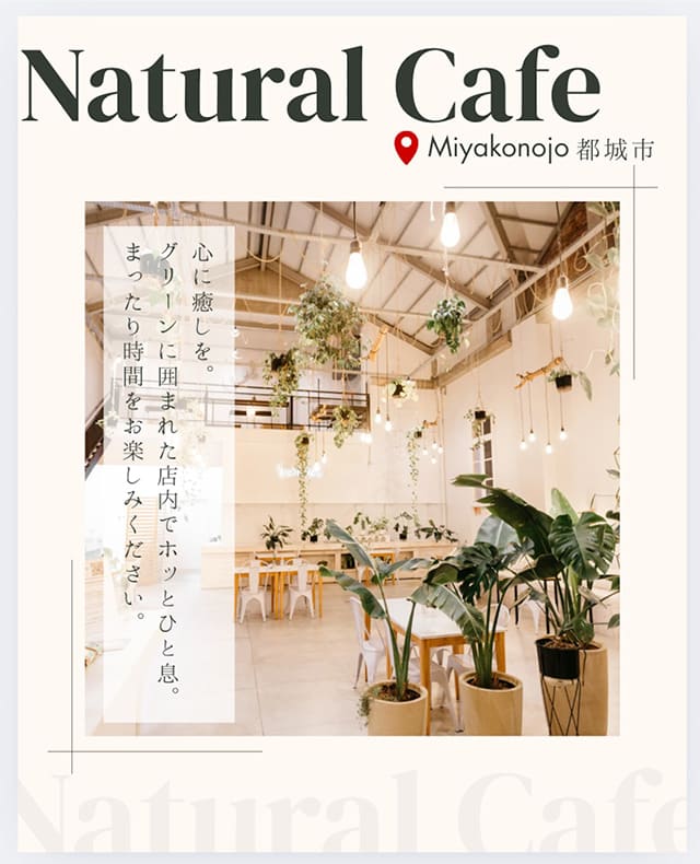 企画から撮影、デザインまで一貫して行います
